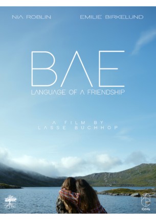 BAE - language of a friendship