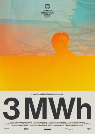 3mwh-3157-1.jpg