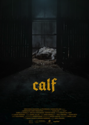 calf-2971-1.png