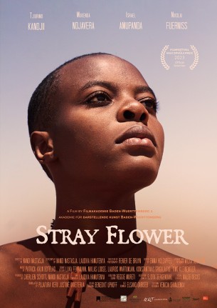 stray-flower-2263-1.jpg