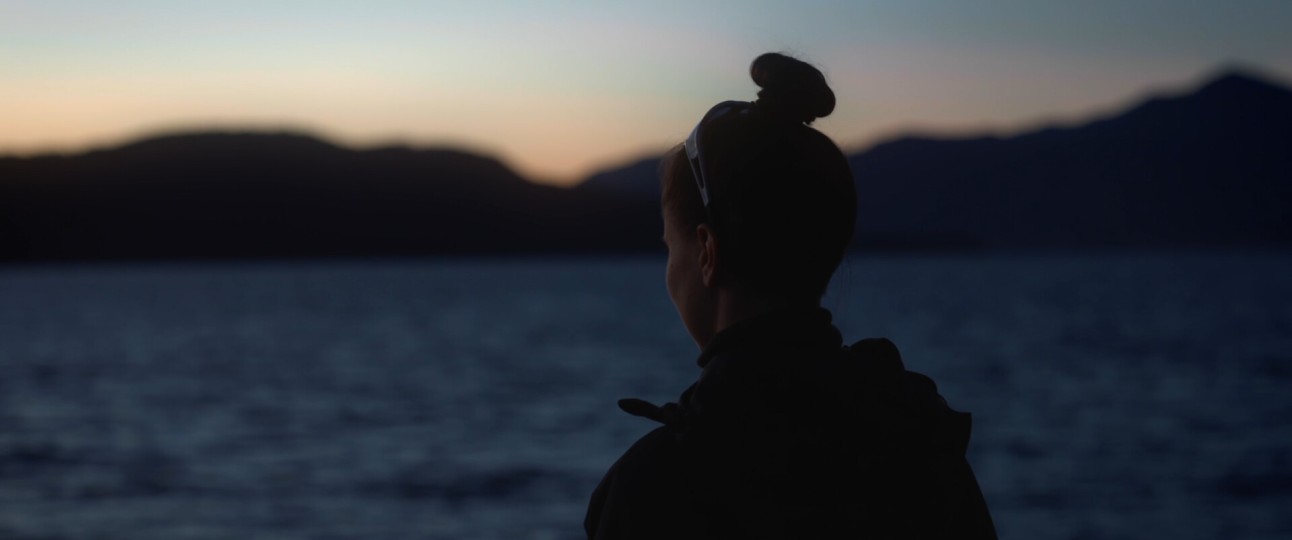 BAE - language of a friendship