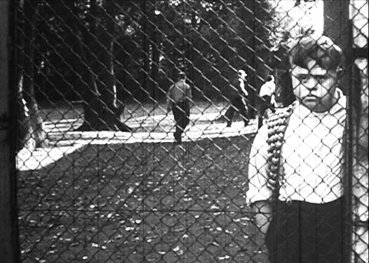 Eigentlich wollte ich nicht lange bleiben