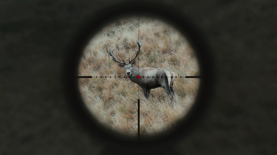 The Hunter